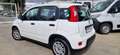 Fiat Panda Panda 1.0 firefly hybrid City Life s Bianco - thumbnail 3
