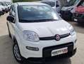 Fiat Panda Panda 1.0 firefly hybrid City Life s Bianco - thumbnail 7