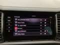 Skoda Kodiaq 2.0 TDI DSG 4x4 TOUR MATRIX LM19 AHK Grau - thumbnail 16