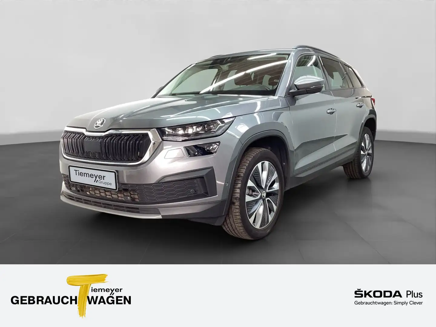 Skoda Kodiaq 2.0 TDI DSG 4x4 TOUR MATRIX LM19 AHK Grau - 1