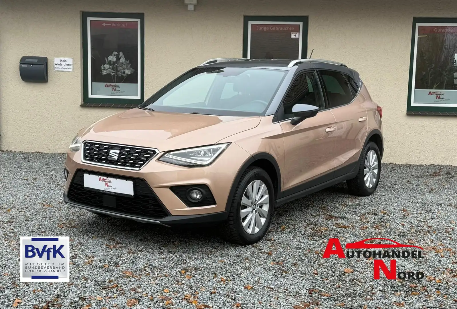 SEAT Arona Android Carplay PDC Bronze Gold - 1