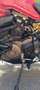 Ducati Monster 821 versión Stripe Rojo - thumbnail 6