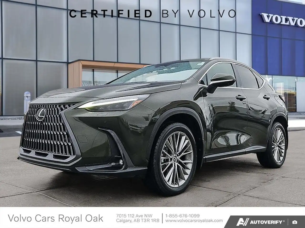 2023 Lexus NX
