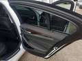BMW 520 d Lim Sportaut Luxury*Mhd-LCI*HUD*DrivProfessional Blanco - thumbnail 33
