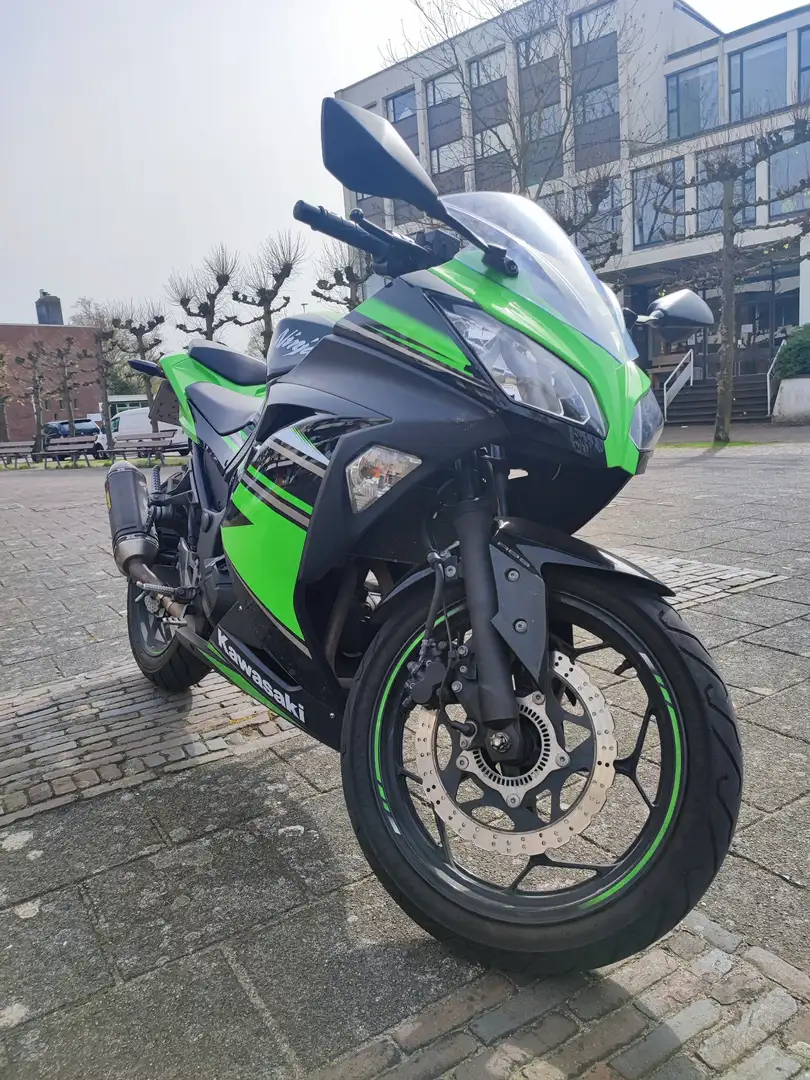 Kawasaki Ninja 300 zelena - 1