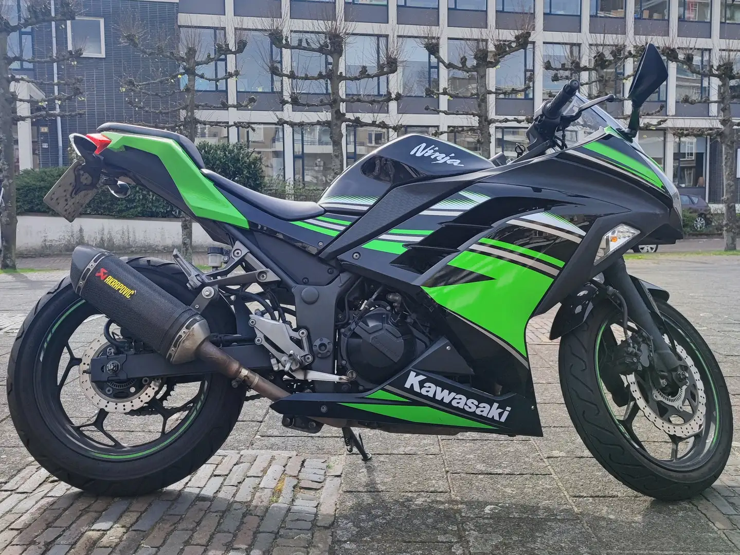 Kawasaki Ninja 300 Zöld - 2