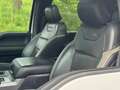 Ford F 150 Raptor Performance NL-AUTO DIKKE KANON!! Wit - thumbnail 6