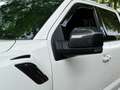 Ford F 150 Raptor Performance NL-AUTO DIKKE KANON!! Wit - thumbnail 23