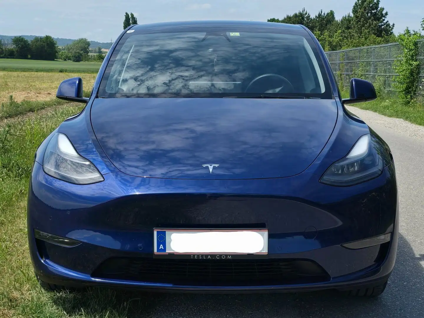 Tesla Model Y Model Y AWD 79kWh Performance Performance Bleu - 1