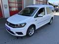 Volkswagen Caddy Maxi Trendline 4Motion, 7 Sitzer,AHK Weiß - thumbnail 3