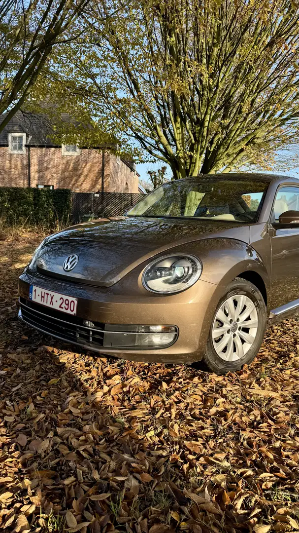 Volkswagen Beetle 1.2 TSI Design - 2