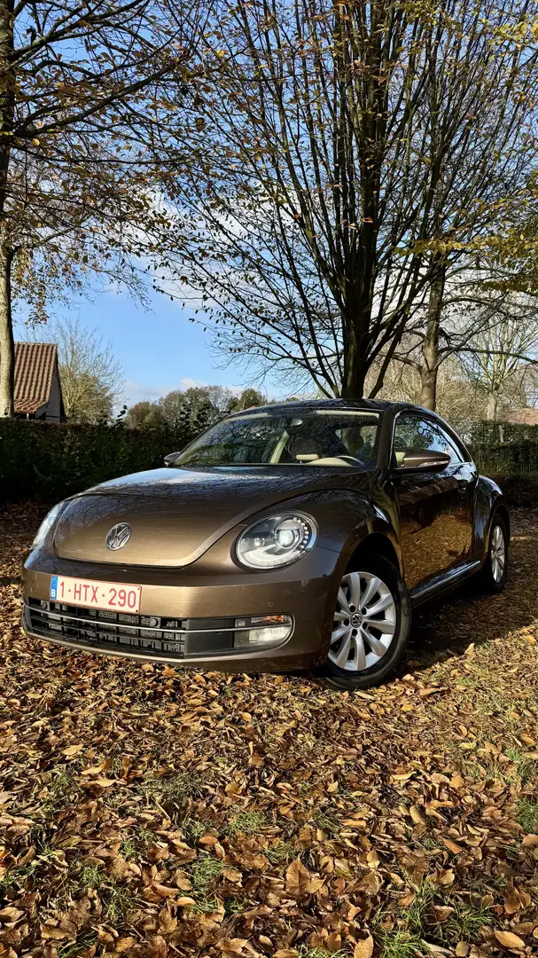Volkswagen Beetle 1.2 TSI Design - 1