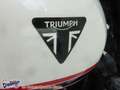 Triumph Trident 660 Testsieger mit 580,- Promotion - thumbnail 17