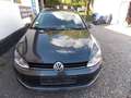 Volkswagen Golf Variant Golf Variant 1.6 TDI BlueMotion Technology Allstar Gris - thumbnail 6