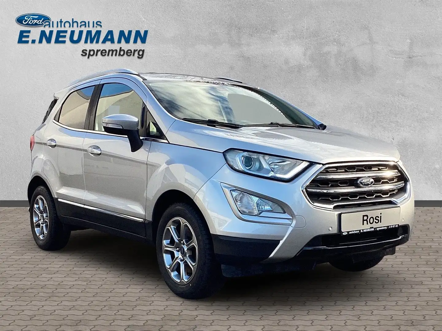 Ford EcoSport Titanium*WINTER-PAKET*BI-XENON* Argintiu - 2