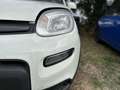 Fiat Panda Panda 1.0 FireFly S&S Hybrid City Life Blanco - thumbnail 8