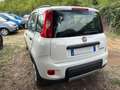 Fiat Panda Panda 1.0 FireFly S&S Hybrid City Life Blanco - thumbnail 6