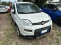 Fiat Panda Panda 1.0 FireFly S&S Hybrid City Life Blanco - thumbnail 1