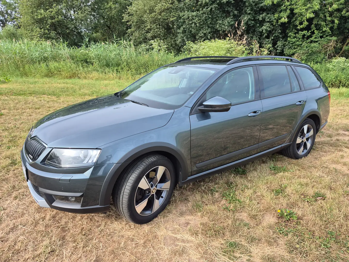 Skoda Octavia Octavia Combi 2.0 TDI (Green tec) 4x4 DSG Scout Grau - 1