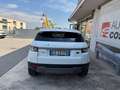 Land Rover Range Rover Evoque Range Rover Evoque I 2011 5p 2.2 td4 Pure 150cv Wit - thumbnail 5