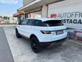 Land Rover Range Rover Evoque Range Rover Evoque I 2011 5p 2.2 td4 Pure 150cv Wit - thumbnail 6