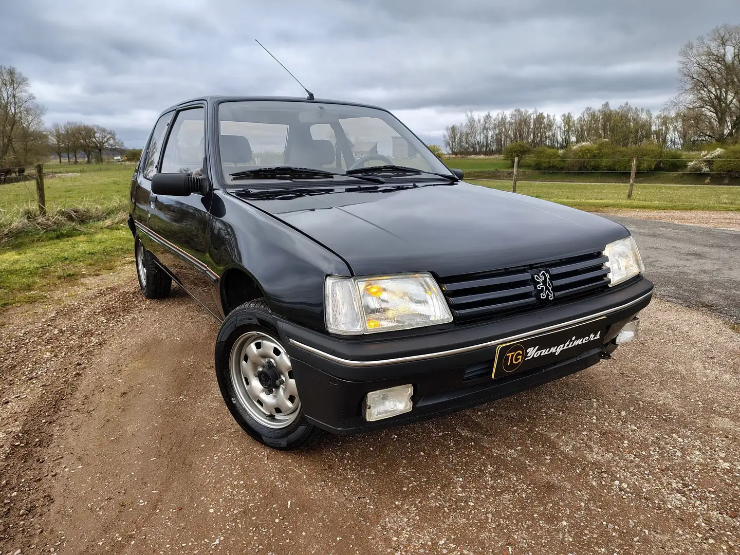 Peugeot 205 1.8 Turbo Diesel bwjr 1992 134.375 km Grau - 2