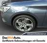 SEAT Leon FR 2.0 TDI 115 PS Grau - thumbnail 7