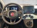 Fiat Panda Pandina PT 70 Weiß - thumbnail 14