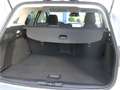 Ford Focus Wagon 1.0 EcoBoost Hybrid Titanium X | Camera | B& Gris - thumbnail 8