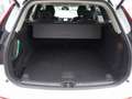 Volvo XC60 Plus Dark B5 AWD Mild-Hybrid 360°KAM/BLIS Weiß - thumbnail 13