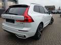 Volvo XC60 Plus Dark B5 AWD Mild-Hybrid 360°KAM/BLIS Weiß - thumbnail 2