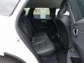 Volvo XC60 Plus Dark B5 AWD Mild-Hybrid 360°KAM/BLIS Weiß - thumbnail 15