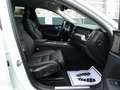 Volvo XC60 Plus Dark B5 AWD Mild-Hybrid 360°KAM/BLIS Weiß - thumbnail 16