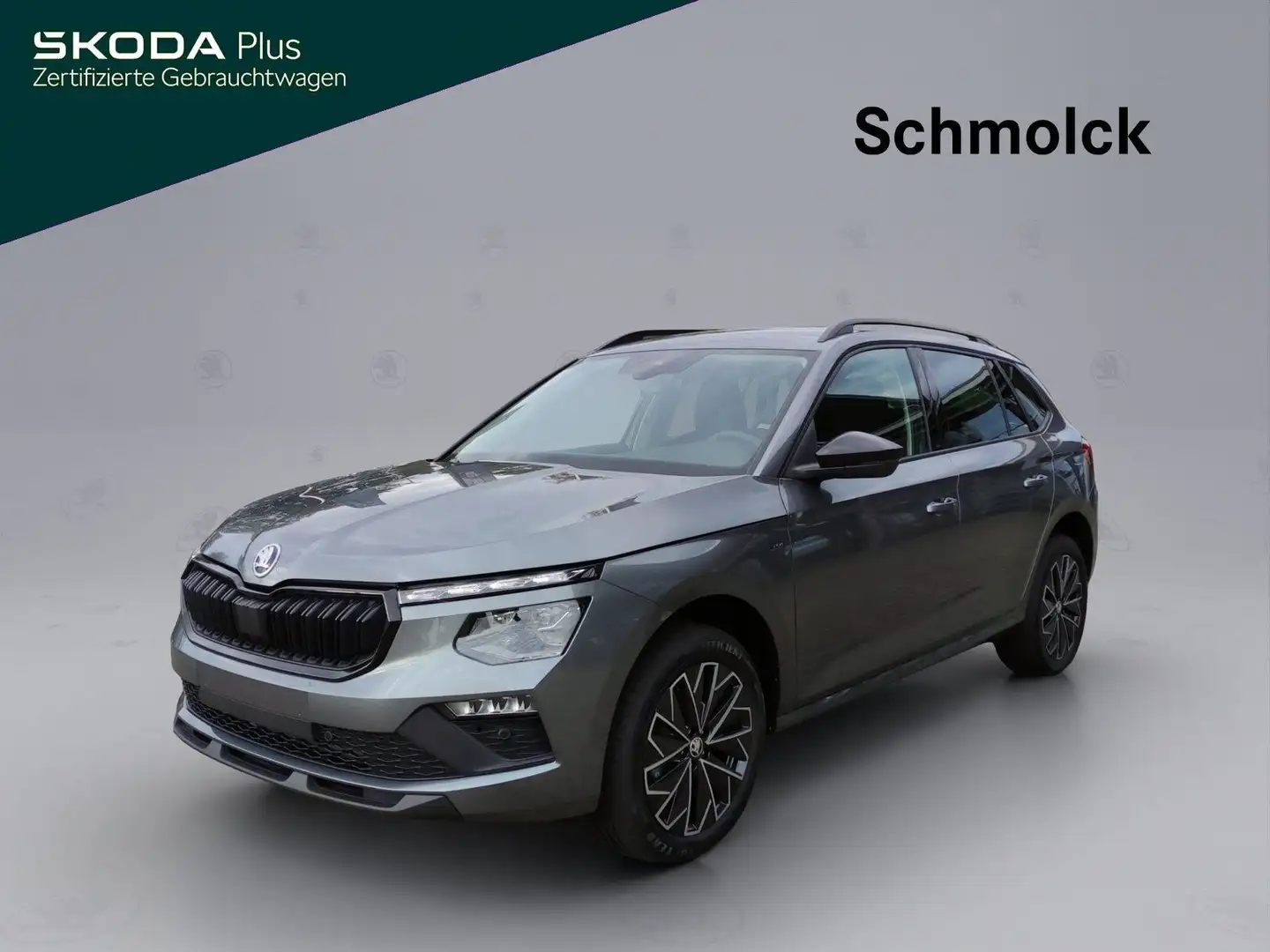 Skoda Kamiq Drive 1.0 TSI DSG 116 PS NAVI LED BLACK Grau - 1