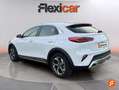 Kia XCeed 1.0 T-GDi Drive Blanc - thumbnail 8