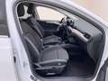 Ford Focus 1.5 EcoBlue Cool&Connect AHK Weiß - thumbnail 8