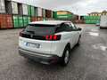 Peugeot 3008 3008 BlueHDi 120 S&S Business Bianco - thumbnail 6