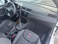 SEAT Ibiza FR TSI **GARANTIE**LED**APP** Weiß - thumbnail 22