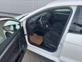 SEAT Ibiza FR TSI **GARANTIE**LED**APP** Weiß - thumbnail 10