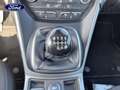 Ford Kuga 1.5 TDCi 120ch Stop\u0026Start Titanium 4x2 Blanc - thumbnail 14