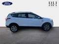 Ford Kuga 1.5 TDCi 120ch Stop\u0026Start Titanium 4x2 Blanc - thumbnail 4