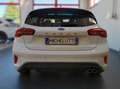 Ford Focus 125 cv Ibrida St-line-TETTO APRIBILE Bianco - thumbnail 7