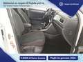 Volkswagen T-Roc 1.0 tsi style 115cv Bianco - thumbnail 11