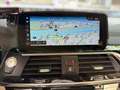 BMW X3 xDrive30d Luxury Line Aut. Grau - thumbnail 17
