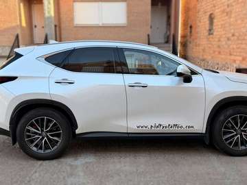 Executive 2WD