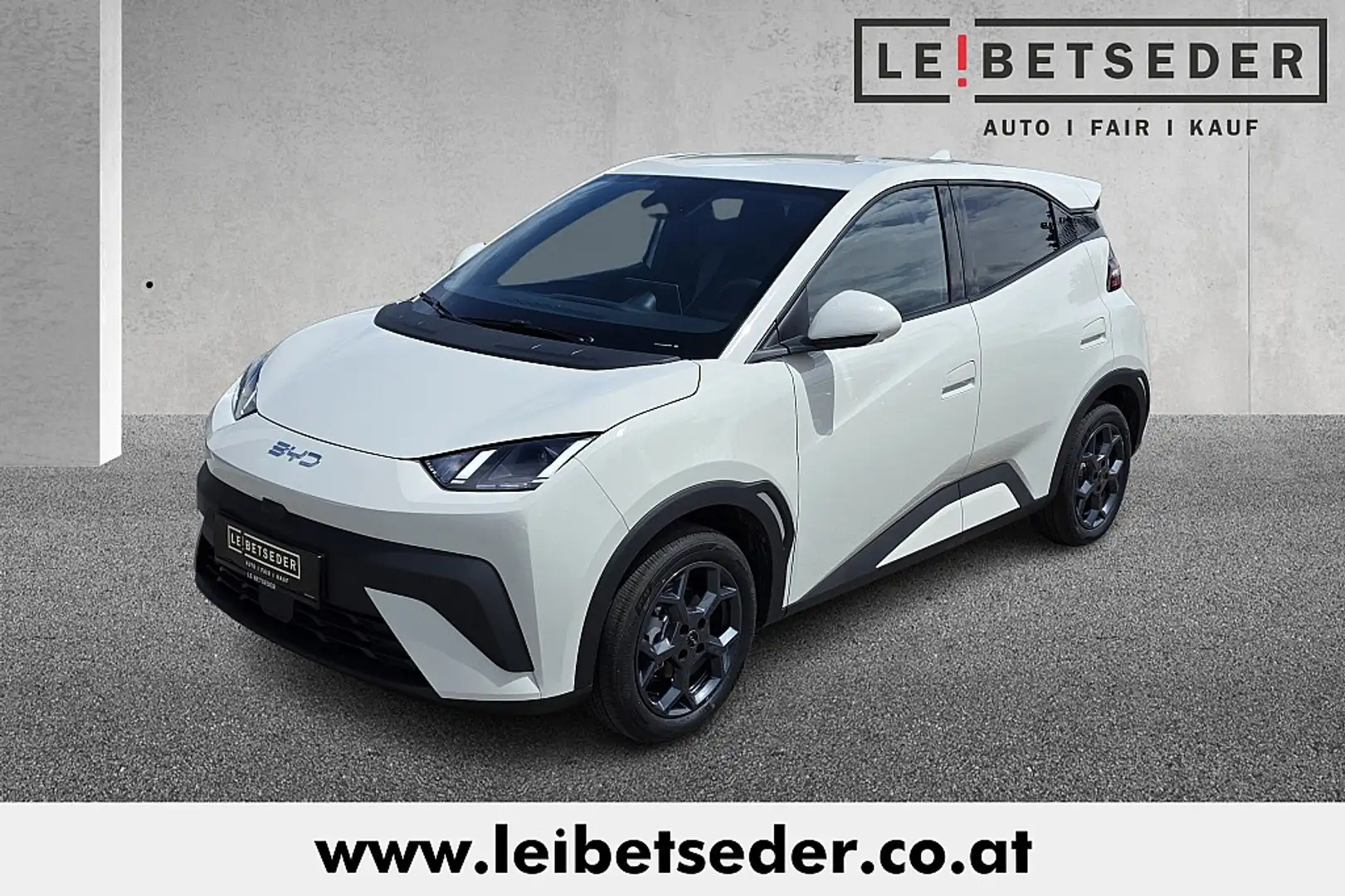 BYD Dolphin Surf 43,2 kWh Comfort Österreich Paket Biały - 1