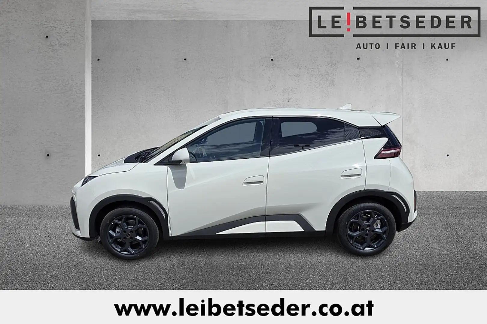 BYD Dolphin Surf 43,2 kWh Comfort Österreich Paket Biały - 2