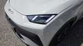 BYD Dolphin Surf 43,2 kWh Comfort Österreich Paket Blanc - thumbnail 8