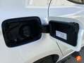 SEAT Ibiza 1.0 MPI S&S Reference 80 Blanco - thumbnail 38