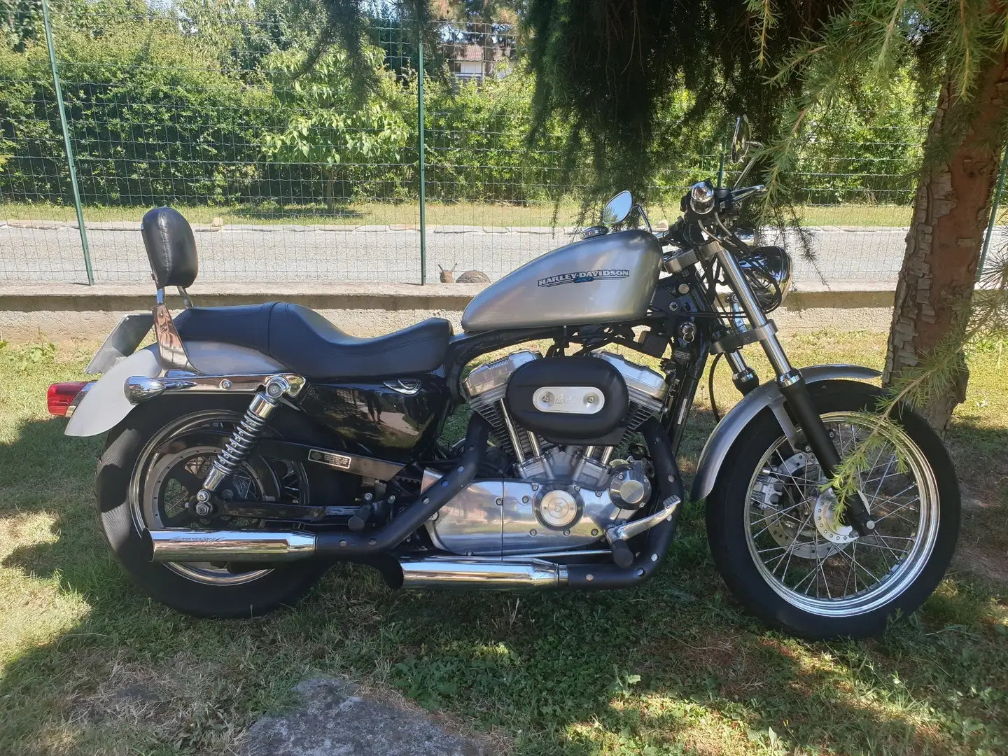 Harley-Davidson Sportster 883 Silber - 1